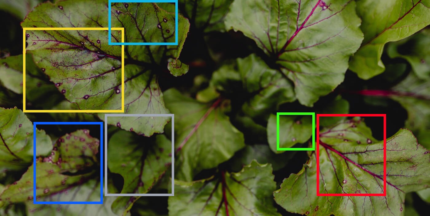 Crop Disease Detection